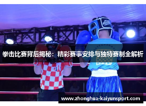 拳击比赛背后揭秘：精彩赛事安排与独特赛制全解析