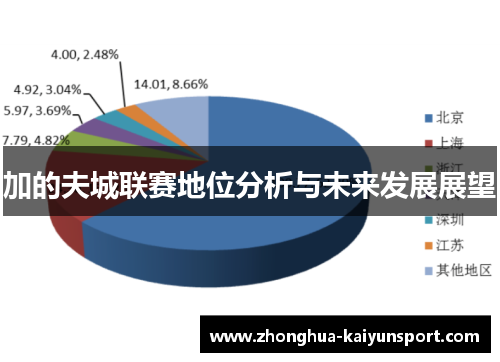 加的夫城联赛地位分析与未来发展展望