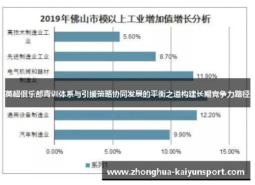 英超俱乐部青训体系与引援策略协同发展的平衡之道构建长期竞争力路径